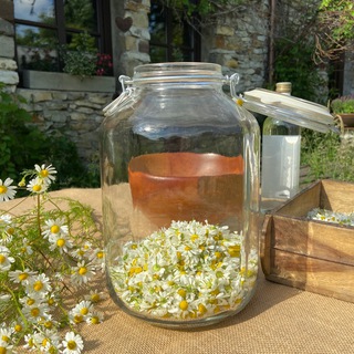 Логотип @tierischundgesund - Gesundes für das Tier