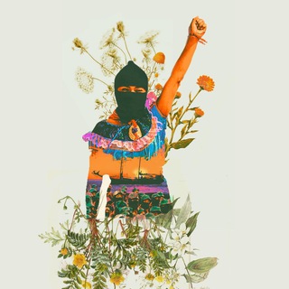 Логотип @tierrainsumisa - Slumil K'ajxemk'op