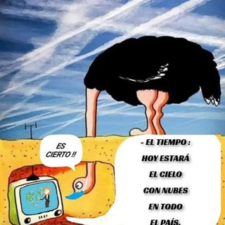 Логотип @tierraysalud - Tierra y Salud