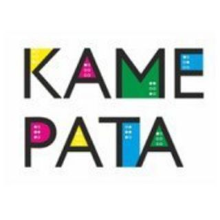 Логотип @tiflocentr - Камерата