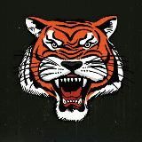 Логотип @tiger_chanell - Тигр 🐆