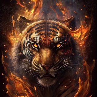 Логотип @tiger_global_management_llc - Tiger Global