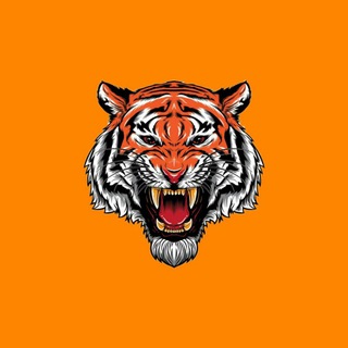 Логотип @tigerhackchat - Tiger Hack🇹🇷[CHAT]