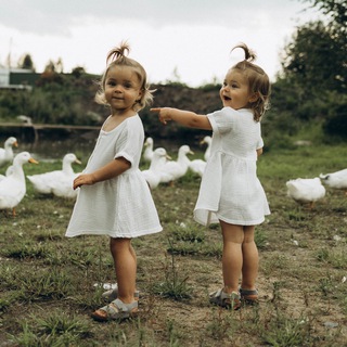 Логотип @tigershrimps - ТИГРОВЫЕ КРЕВЕТКИ