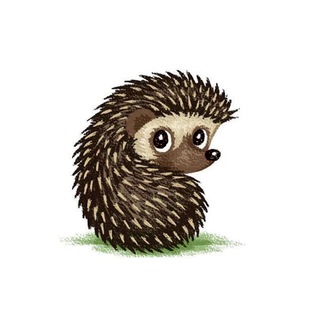 Логотип @tigervtg - Ёжики