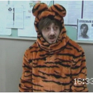 Логотип @tigrflakon - Крадущийся 🐯 затаившийся флакон