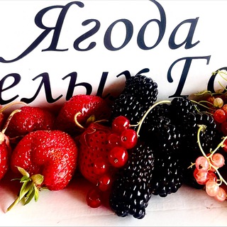 Логотип @tihaya_buhta - Агротуризм ~ Белгород