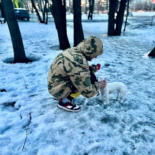 Логотип @tihomirofficiall - TIHOMIR