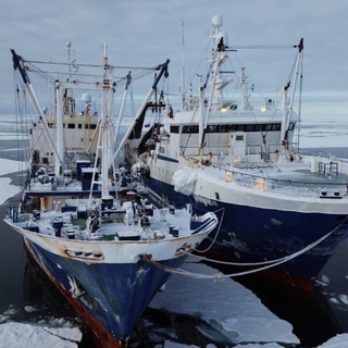 Логотип @tihrybkominfo - Тихрыбком | NordMile | Магаданские морепродукты