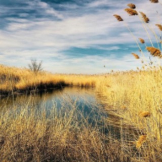 Логотип @tihyidon - Тихий Дон