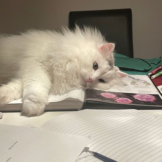 Логотип @tiiii_ya - ты