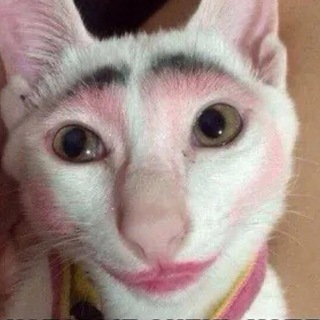 Логотип @tik_tok_beauty_me - Циничный косметолог💉😹