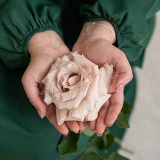 Логотип @tikhomirova_daria - Daria Tikhomirova