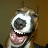 Логотип @tikozel - Юмор, приколы, видео