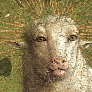 Логотип @tiktok4life - Мои любимые тиктоки