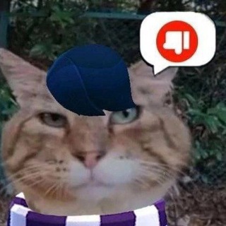Логотип @tiktok4memes - мемы из тиктока 🤡