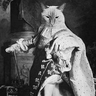 Логотип @tiktokmay - живность