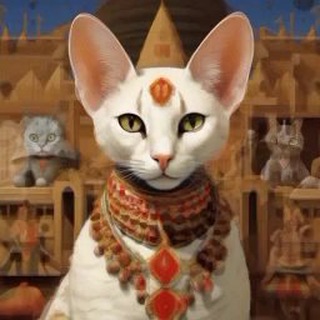 Логотип @tiktokorean - Корейский тикток