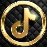 Логотип @tiktokprime - TikTok Prime 👑