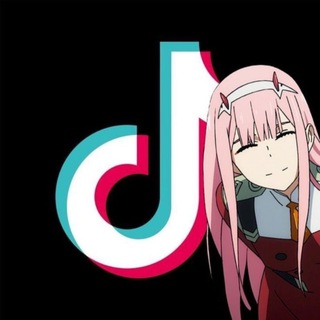 Логотип @tiktokrussianow - Что там в TikTok?