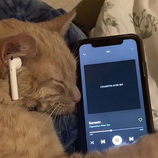 Логотип @tiktoksongs61 - 𝐭𝐢𝐤𝐭𝐨𝐤 𝐬𝐨𝐧𝐠𝐬<𝟑 | парные авы