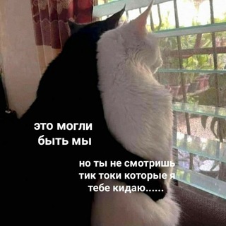 Логотип @tiktoksukablyat - лайкнул тикток