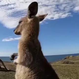 Логотип @tikyyy_mem - Мемы и точка