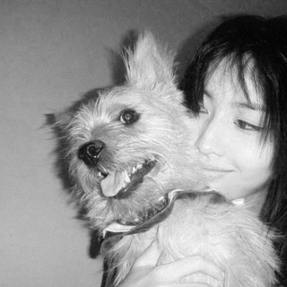 Логотип @tilohebanik - wexsi . stick