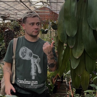 Логотип @tim_botan - tim_botan