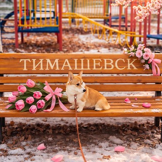 Логотип @tim_news - ТИМАШЕВСК НОВОСТИ