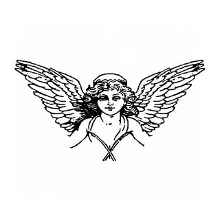 Логотип @timaischetsvet - тима ищет свет