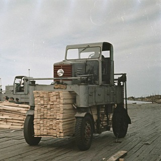 Логотип @timberwoodpulp - Северный лес