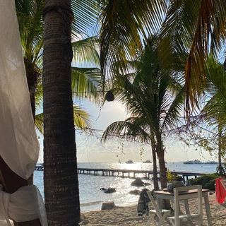 Логотип @time_forwine - Wine O’Clock