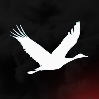 Логотип @time_z_now - Zабайкальский Фронт