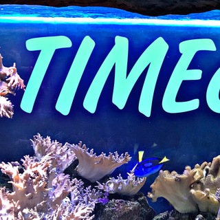 Логотип @timeckver - TIMEckver