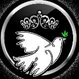 Логотип @timedeluxe_brand - TiMe Deluxe