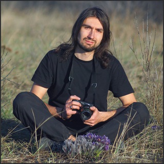 Логотип @timezz_photo - Тимур Закиров - фотограф-натуралист