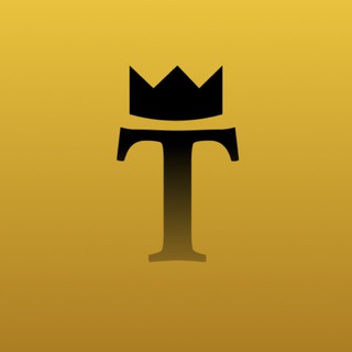 Логотип @timmteam - TimTeam