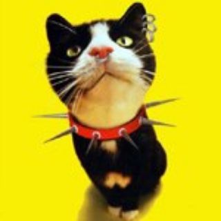 Логотип @timoniusx - Супер-приколюхи