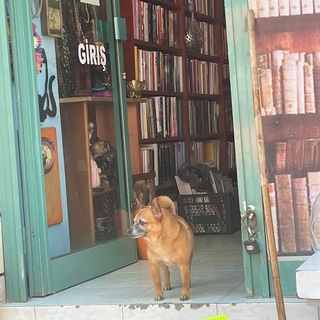 Логотип @timpressi - ВПЕЧАТЛЕНИЯ