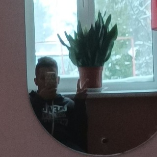 Логотип @tinkoff_invest_officialll - Миша