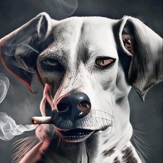 Логотип @tips_777 - Tips