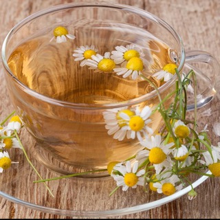 Логотип @tishinafs - Чай с ромашкой