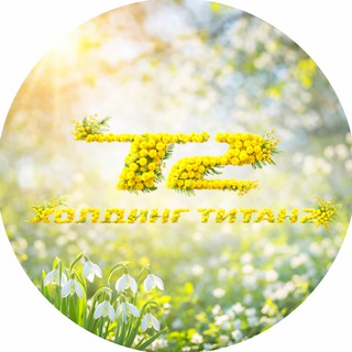 Логотип @titan2ru - Холдинг«ТИТАН-2»