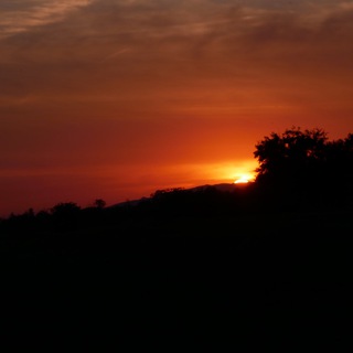 Логотип @tiynasuyre - Тийна суьйре