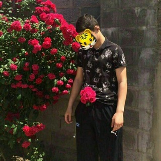 Логотип @tjmoney1 - TJ MONEY