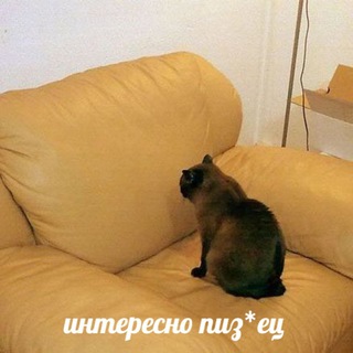 Логотип @tlov123 - Tlov