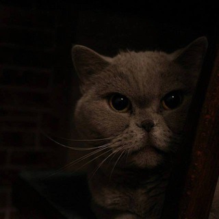 Логотип @tm_tmp_t - ︎РАБОТАЕМ БРАТ