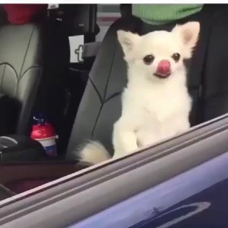 Логотип @to_da_see - То да сё