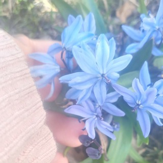 Логотип @toca_boca_panda_chat - •Коментики🥺💕•